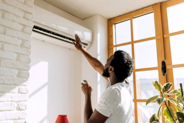 Best HVAC air duct cleaning  in Mendota, IL