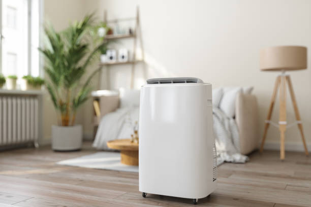 Best HVAC maintenance near me  in Mendota, IL